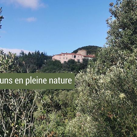 Pyrenees Mon Amour Felluns Exterior photo