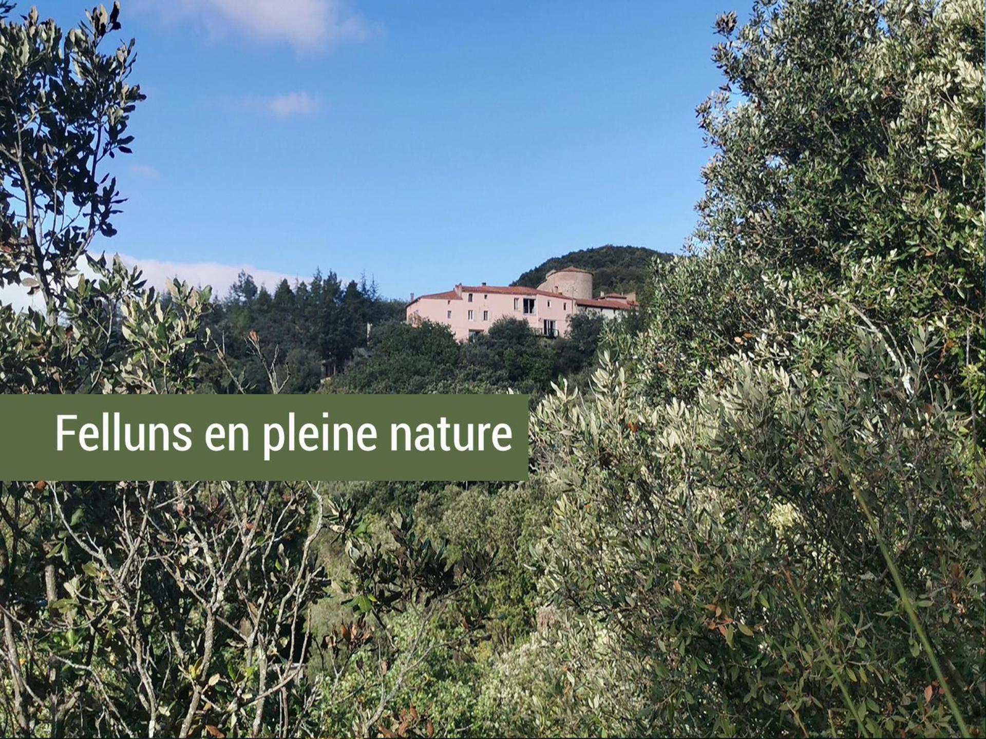 Pyrenees Mon Amour Felluns Exterior photo