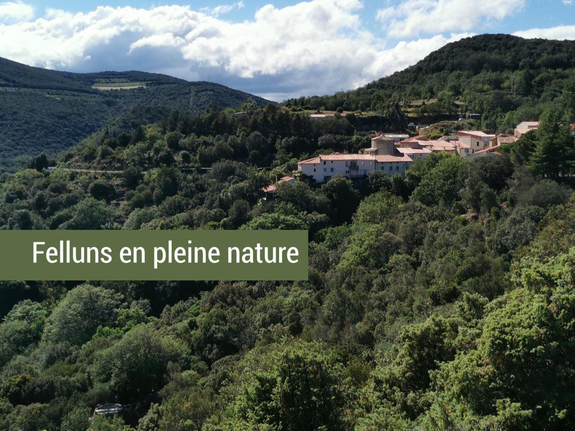 Pyrenees Mon Amour Felluns Exterior photo